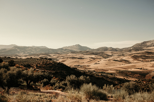 destination wedding planner Spain Malaga Marbella venues